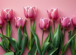 Różowe, Tulipany, Listki