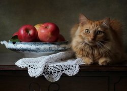Rudawy kot i jabłka na komodzie