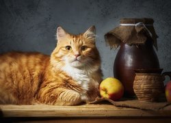 Rudy kot obok jabłek i dzbanka