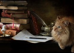Rudy kot obok kartki i książek