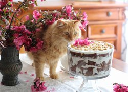 Rudy kot obok wazonu z okwieconymi gałązkami