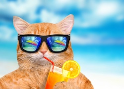 Rudy kot w okularach przeciwsłonecznych pije sok pomarańczowy