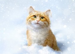 Rudy, Kot, Zima, Śnieg