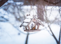 Rudzik w karmniku dla ptaków wiszącym na zimowej gałęzi