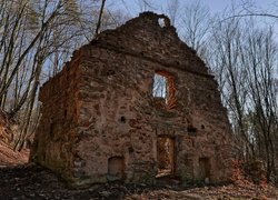 Ruiny, Dom, Drzewa, Stara pralnia, Dolina Eliasza, Czerna, Gmina Krzeszowice, Województwo małopolskie, Polska