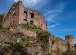 Ruiny, Burg Freienstein, Krzewy, Trawa, Oberzent, Niemcy