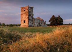 Wielka Brytania, Anglia, Wimborne, Kościół, Knowlton Church, Ruiny, Drzewa, Trawa, Zachód Słońca