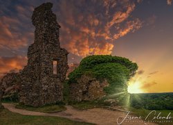 Ruiny zamku w Corfe Castle pokryte częściowo winoroślami