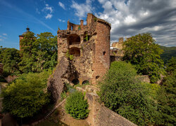Ruiny zamku w Heidelberg