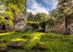 Ruiny zamku Wildenberg
