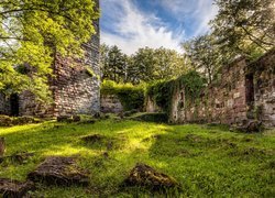 Ruiny, Wildenberg Castle, Mury, Drzewa, Rośliny, Trawa, Kirchzell, Bawaria, Niemcy