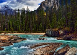 Rwąca górska rzeka w Parku Narodowym Yoho w Kanadzie