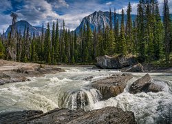 Park Narodowy Yoho, Rzeka, Kicking Horse River, Góry Skaliste, Zielone, Drzewa, Skały, Chmury, Kolumbia Brytyjska, Kanada