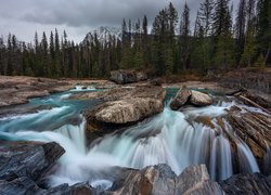 Kanada, Kolumbia Brytyjska, Park Narodowy Yoho, Rzeka, Skały, Drzewa, Chmury