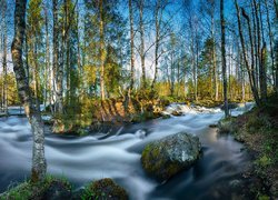 Rwąca, Rzeka, River Kitkajoki, Brzozy, Skały, Most, Park Narodowy Oulanka, Laponia, Finlandia