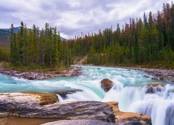 Park Narodowy Jasper, Las, Drzewa, Góry, Rzeka, Sunwapta River, Kamienie, Wodospad, Sunwapta Falls, Skały, Chmury, Alberta, Kanada