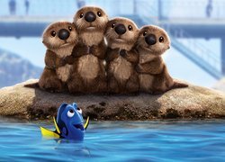 Film animowany, Bajka, Gdzie jest Dory, Finding Dory, Cztery, Wydry, Rybka Dory