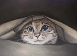 Rysunek kota pod tkaniną