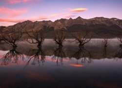 Wschód słońca, Jezioro, Wakatipu, Jesień, Rząd, Drzewa, Wierzby, Odbicie, Glenorchy, Queenstown, Nowa Zelandia