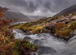 Wielka Brytania, Walia, Rzeka Afon Ogwen, Rzeka, Góry, Kamienie, Paprocie, Mgła