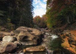 Rzeka, Ara Rio, Kamienie, Skarpy, Drzewa, Park Narodowy Ordesa y Monte Perdido, Hiszpania