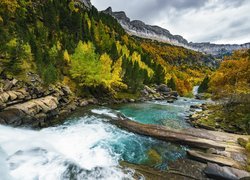 Rzeka Arazas River w hiszpańskich Pirenejach