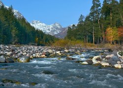 Rzeka Baksan, Las, Góry, Kaukaz, Kamienie, Kabardo-Bałkaria, Rosja