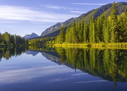 Park Narodowy Banff, Prowincja Alberta, Kanada, Góry, Drzewa, Las, Rzeka, Bow River