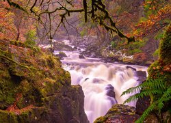 Rzeka Braan w szkockim hrabstwie Perthshire