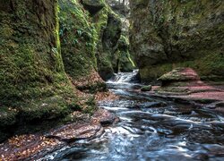 Rzeka Carnock Burn w wąwozie Finnich Glen w Szkocji