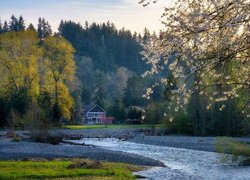 Rzeka Cedar River, Maple Valley, Dolina Krzemowa, Dom, Drzewa, Wiosna, Stan Waszyngton, Stany Zjednoczone