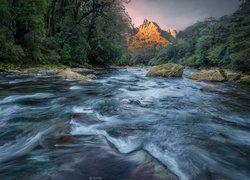 Rzeka, Cleddau River, Kamienie, Las, Drzewa, Góry, Park Narodowy Fiordland, Nowa Zelandia