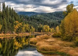 Jesień, Rzeka, Coeur dAlene River, Drzewa, Las, Góry, Hrabstwo Kootenai, Idaho, Stany Zjednoczone