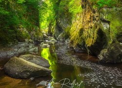 Rzeka Conwy w wąwozie Fairy Glen