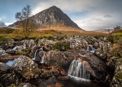 Góra, Buachaille Etive Mor, Skały, Rzeka, River Coupall, Drzewa, Region Highland, Szkocja