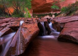 Skały, Rzeka, Coyote Gulch, Krzewy, Utah, Stany Zjednoczone