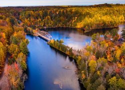 Rzeka, Dead River, Most, Lasy, Jesień, Michigan, Stany Zjednoczone