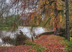 Rzeka Don w jesiennej scenerii