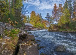 Rzeka i drewniany młyn w Parku Narodowym Oulanka