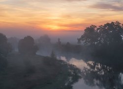 Rzeka, Drzewa, Mgła, Poranek, Wschód słońca