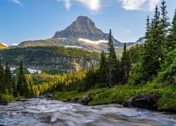 Park Narodowy Glacier, Montana, Stany Zjednoczone, Rzeka, Drzewa, Góry