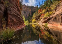 Stany Zjednoczone, Arizona, Sedona, Skały, Wąwóz, Rzeka, West Fork of Oak Creek, Drzewa