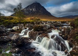 Góra, Buachaille Etive Mor, Rzeka, River Coupall, Kamienie, Drzewa, Highland, Szkocja