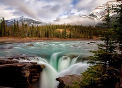 Rzeka i wodospad Athabasca w Parku Narodowym Jasper
