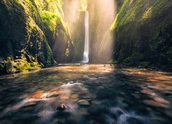 Wodospad Oneonta Gorge, Rzeka Oneonta Creek, Wąwóz Oneonta, Roślinność, Kamienie, Skały, Rezerwat przyrody Columbia River, Stan Oregon, Stany Zjednoczone