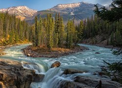 Góry, Skały, Rzeka Sunwapta, Drzewa, Park Narodowy Jasper, Kanada