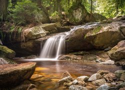 Niemcy, Saksonia-Anhalt, Powiat Harz, Rzeka Ilse, Las, Kamienie