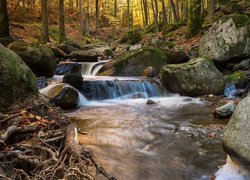 Niemcy, Saksonia-Anhalt, Powiat Harz, Rzeka Ilse, Jesień, Kamienie, Las, Drzewa