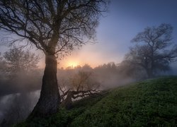 Wschód słońca, Mgła, Rzeka Istra, Drzewa, Obwód moskiewski, Rosja