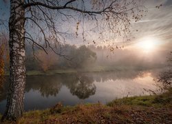 Wschód słońca, Rzeka, Istra, Drzewo, Brzoza, Mgła, Jesień, Obwód moskiewski, Rosja